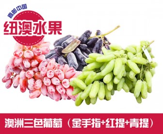 【直发中国】澳洲三色提子组合 2公斤/箱(澳洲金手指+澳洲红提+澳洲青提 混装) 【直发中国】澳洲三色提子组合 2公斤/箱(澳洲金手指+澳洲红提+澳洲青提 混装)